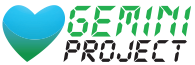 Logo Gemini Project